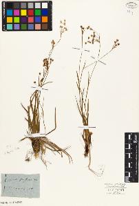 SW_BNB_s3010-02494_IMG-0000000001