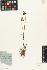 SW_BNB_s3010-02501_IMG-0000000001