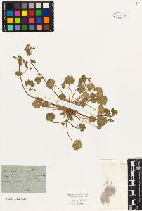 SW_BNB_s3010-02502_IMG-0000000001