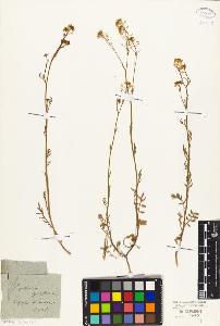 SW_BNB_s3010-02505_IMG-0000000001
