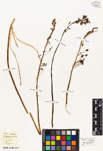 SW_BNB_s3010-02506_IMG-0000000001