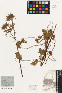 SW_BNB_s3010-02507_IMG-0000000001