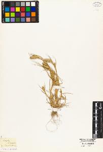 SW_BNB_s3010-02510_IMG-0000000001