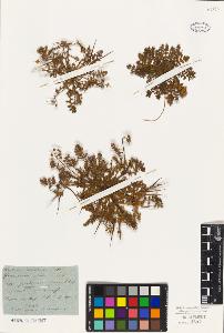 SW_BNB_s3010-02514_IMG-0000000001