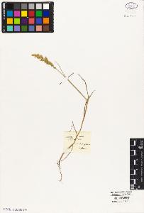 SW_BNB_s3010-02515_IMG-0000000001