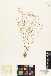 SW_BNB_s3010-02516_IMG-0000000001