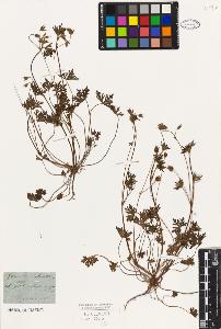SW_BNB_s3010-02517_IMG-0000000001