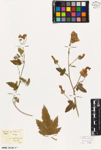 SW_BNB_s3010-02519_IMG-0000000001