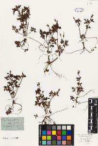 SW_BNB_s3010-02520_IMG-0000000001