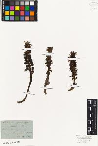 SW_BNB_s3010-02523_IMG-0000000001