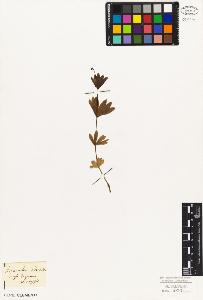 SW_BNB_s3010-02527_IMG-0000000001