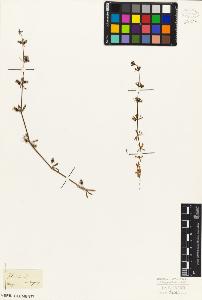 SW_BNB_s3010-02529_IMG-0000000001