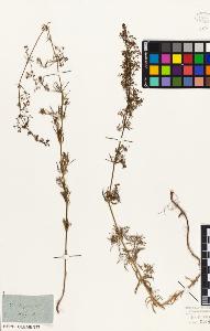 SW_BNB_s3010-02530_IMG-0000000001