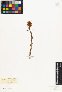 SW_BNB_s3010-02540_IMG-0000000001