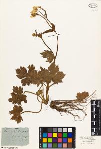 SW_BNB_s3010-02544_IMG-0000000001