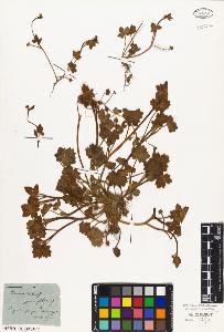 SW_BNB_s3010-02548_IMG-0000000001