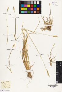 SW_BNB_s3010-02559_IMG-0000000001