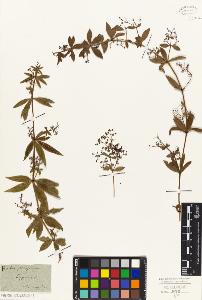 SW_BNB_s3010-02566_IMG-0000000001