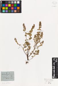 SW_BNB_s3010-02568_IMG-0000000001