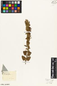 SW_BNB_s3010-02571_IMG-0000000001