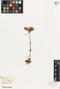 SW_BNB_s3010-02573_IMG-0000000001