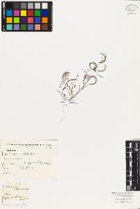 SW_BNB_s3010-02575_IMG-0000000001