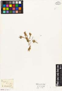 SW_BNB_s3010-02576_IMG-0000000001