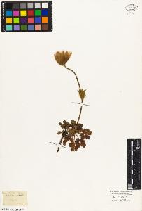 SW_BNB_s3010-02578_IMG-0000000001