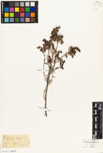 SW_BNB_s3010-02580_IMG-0000000001