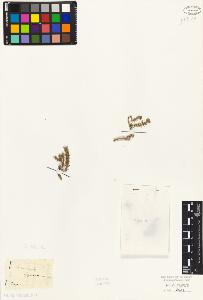 SW_BNB_s3010-02581_IMG-0000000001