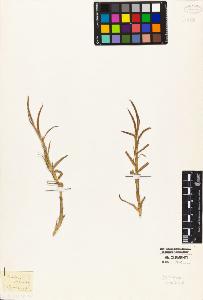 SW_BNB_s3010-02582_IMG-0000000001