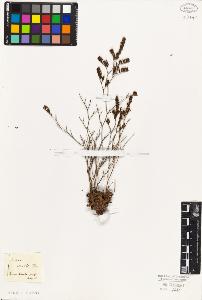 SW_BNB_s3010-02584_IMG-0000000001