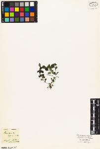 SW_BNB_s3010-02587_IMG-0000000001