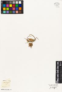 SW_BNB_s3010-02590_IMG-0000000001