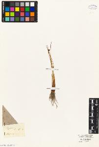 SW_BNB_s3010-02594_IMG-0000000001