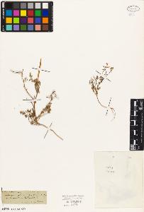 SW_BNB_s3010-02596_IMG-0000000001