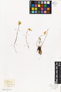 SW_BNB_s3010-02600_IMG-0000000001