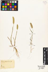 SW_BNB_s3010-02603_IMG-0000000001