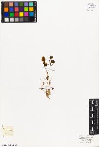 SW_BNB_s3010-02604_IMG-0000000001