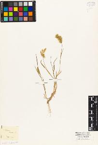 SW_BNB_s3010-02605_IMG-0000000001