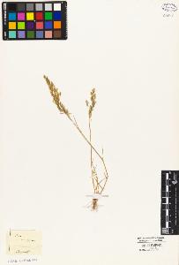 SW_BNB_s3010-02610_IMG-0000000001