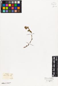 SW_BNB_s3010-02611_IMG-0000000001