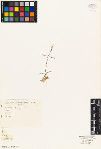 SW_BNB_s3010-02615_IMG-0000000001