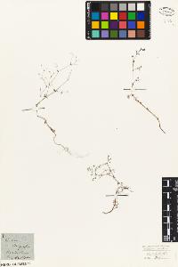 SW_BNB_s3010-02616_IMG-0000000001