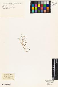 SW_BNB_s3010-02620_IMG-0000000001