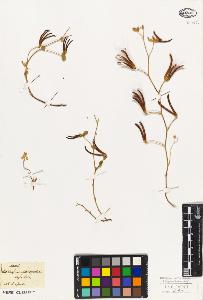 SW_BNB_s3010-02627_IMG-0000000001