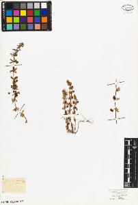 SW_BNB_s3010-02632_IMG-0000000001