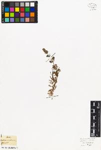 SW_BNB_s3010-02635_IMG-0000000001