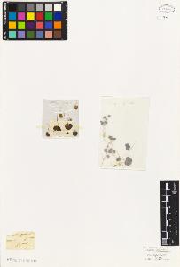 SW_BNB_s3010-02637_IMG-0000000001