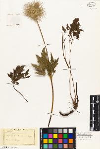 SW_BNB_s3010-02638_IMG-0000000001